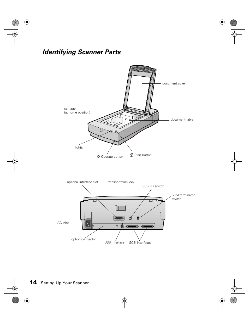 Identifying scanner parts | Epson 1680 User Manual | Page 21 / 159