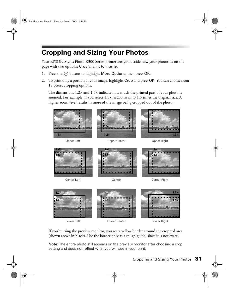 Cropping and sizing your photos | Epson Stylus Photo R300 Series User Manual | Page 31 / 124