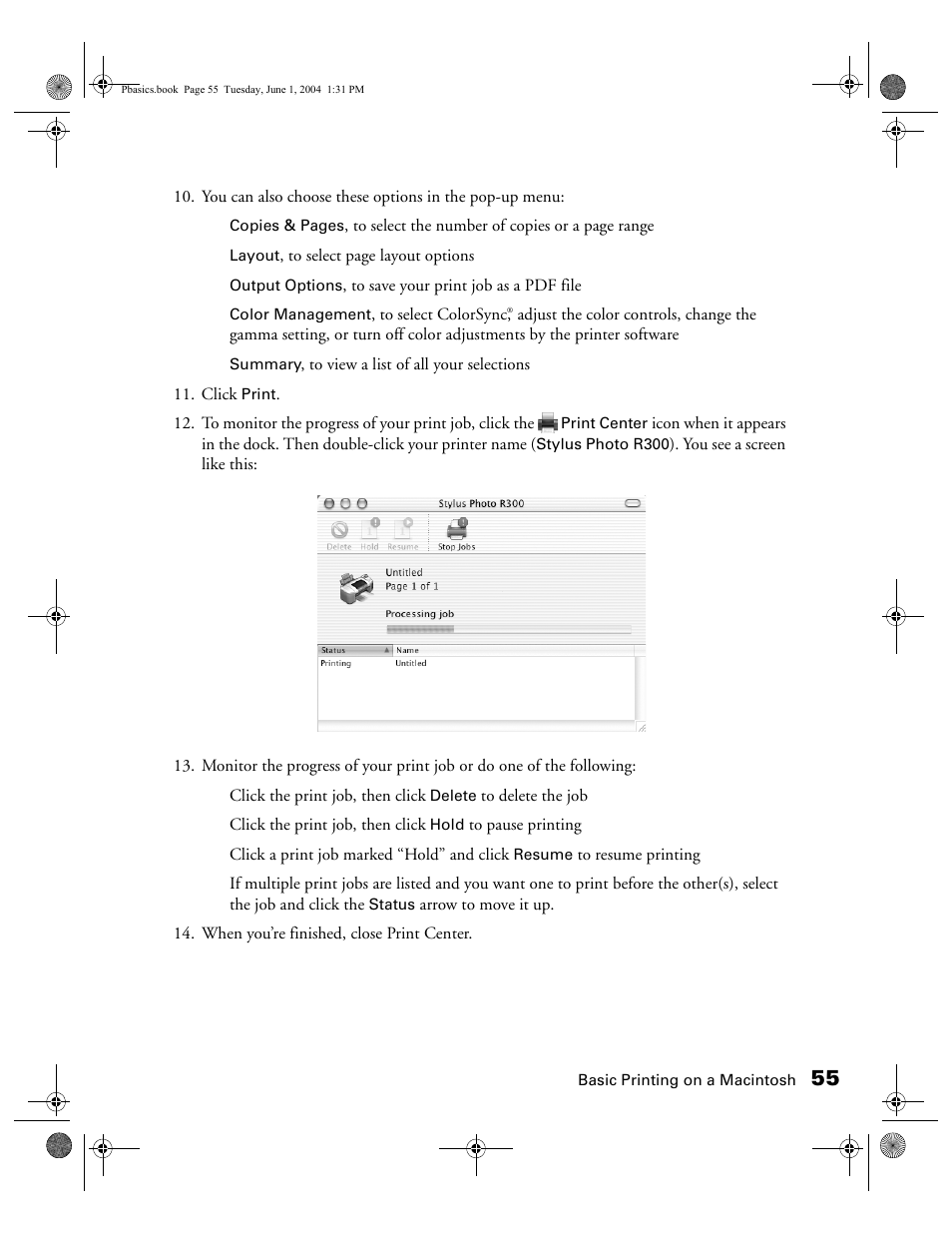 Epson Stylus Photo R300 Series User Manual | Page 55 / 124