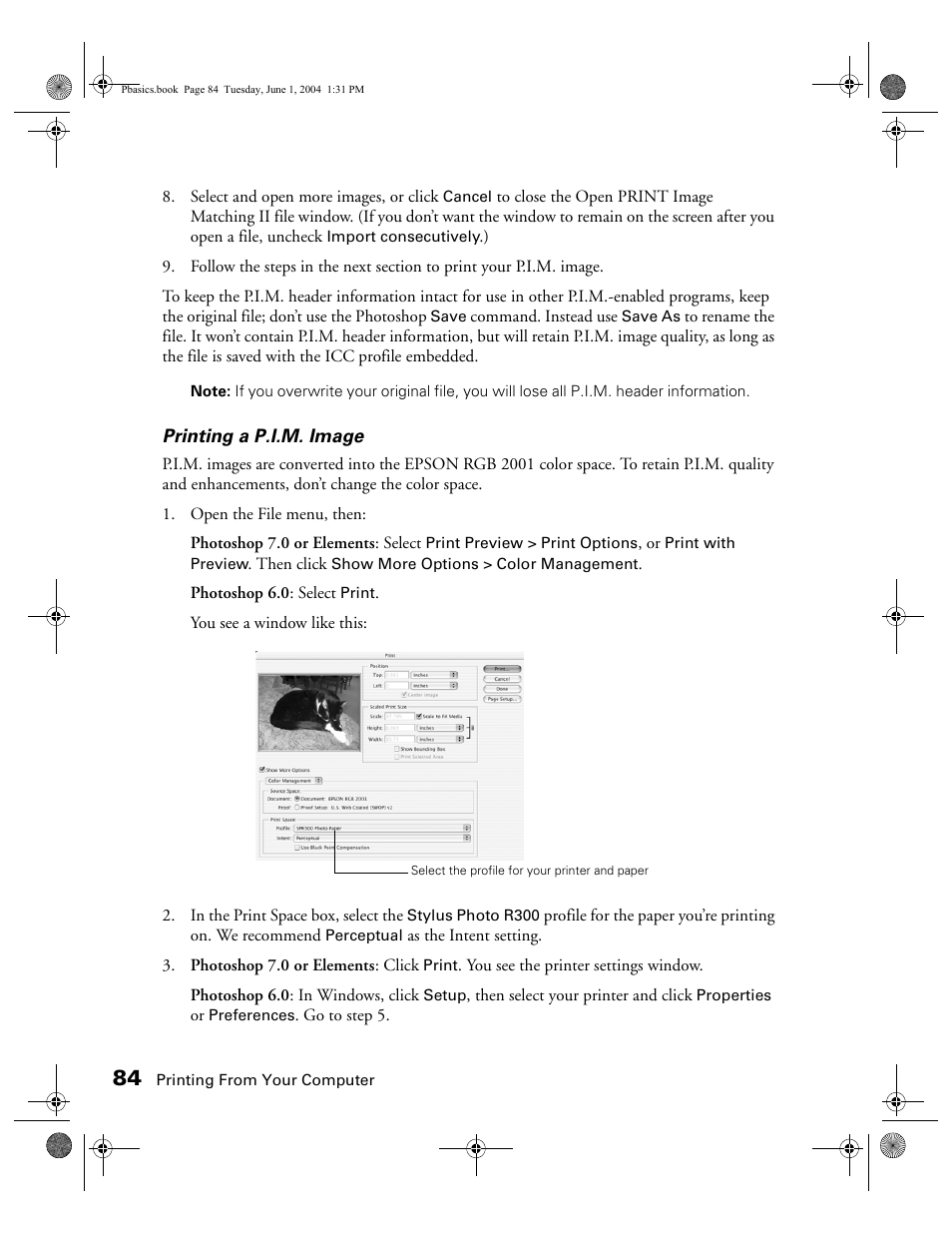 Epson Stylus Photo R300 Series User Manual | Page 84 / 124
