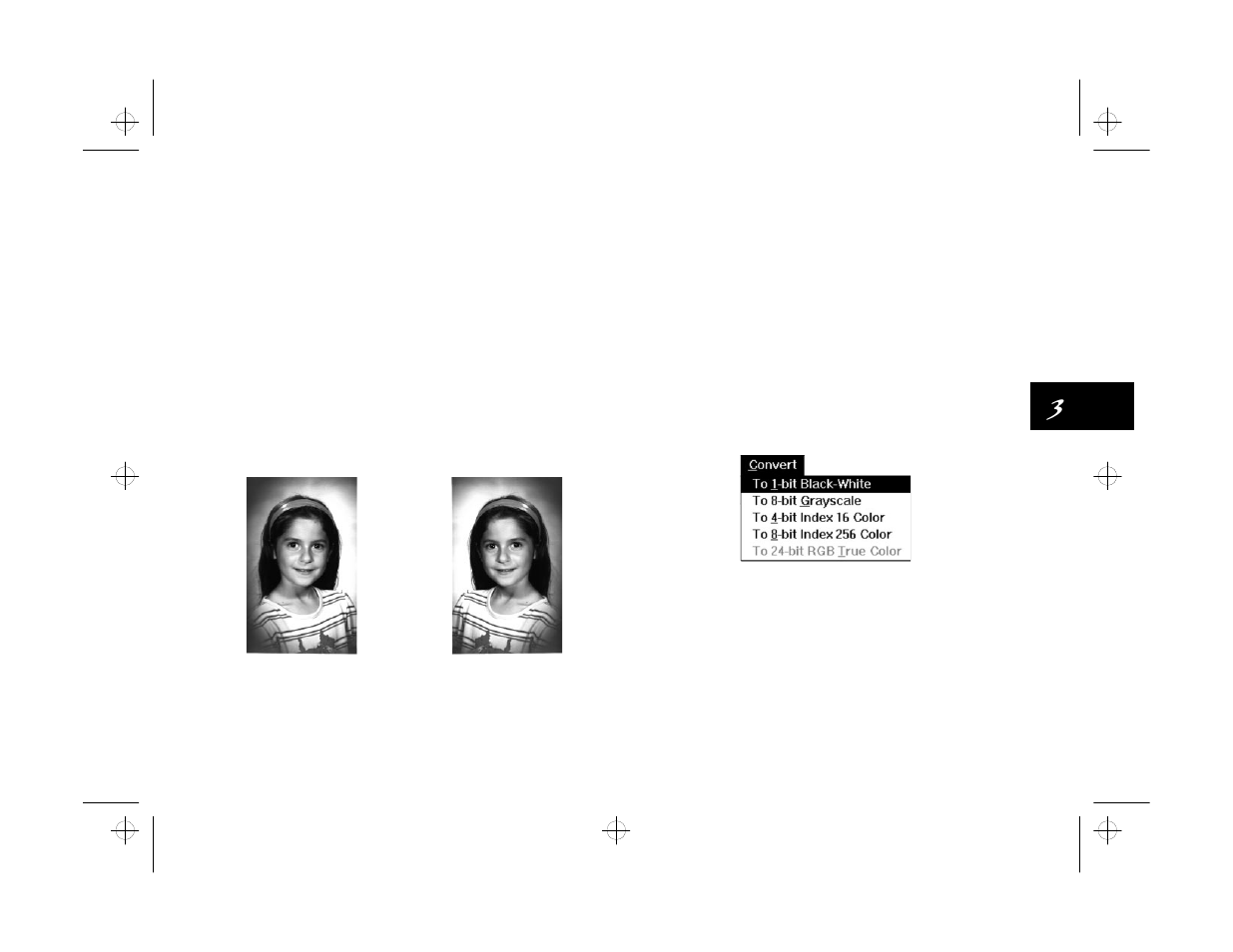 Converting image types | Epson PhotoPlus User Manual | Page 42 / 117