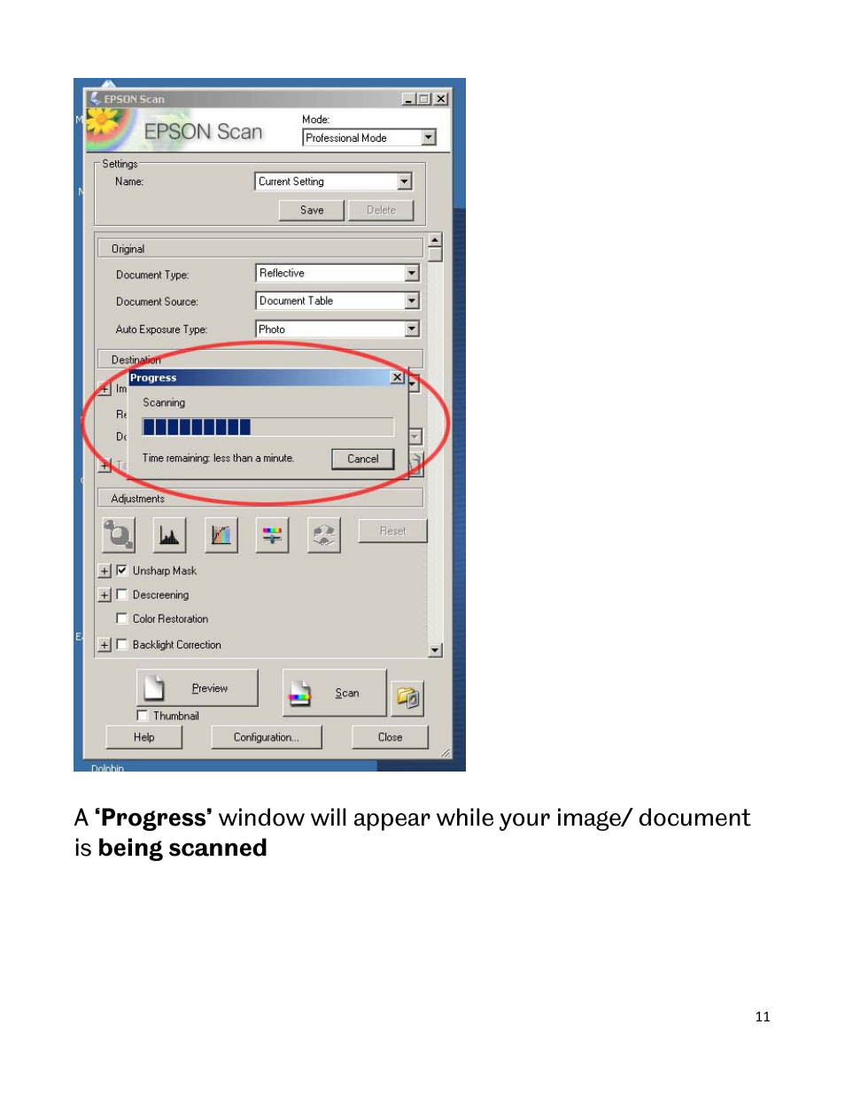 Epson Scanner A3 User Manual | Page 11 / 16