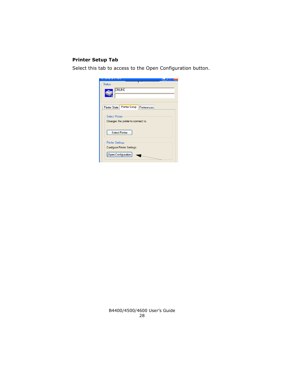Printer setup tab | Epson 4600 User Manual | Page 28 / 106