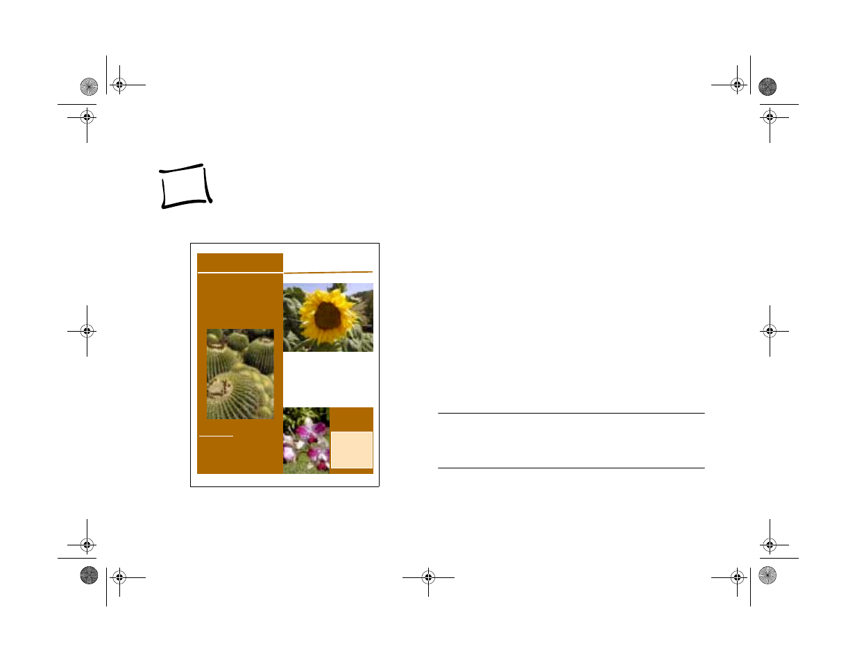Chap 5-getting your photos into documents, Getting your photos into documents, Gardening monthly | Epson PhotoPC 650 User Manual | Page 77 / 158