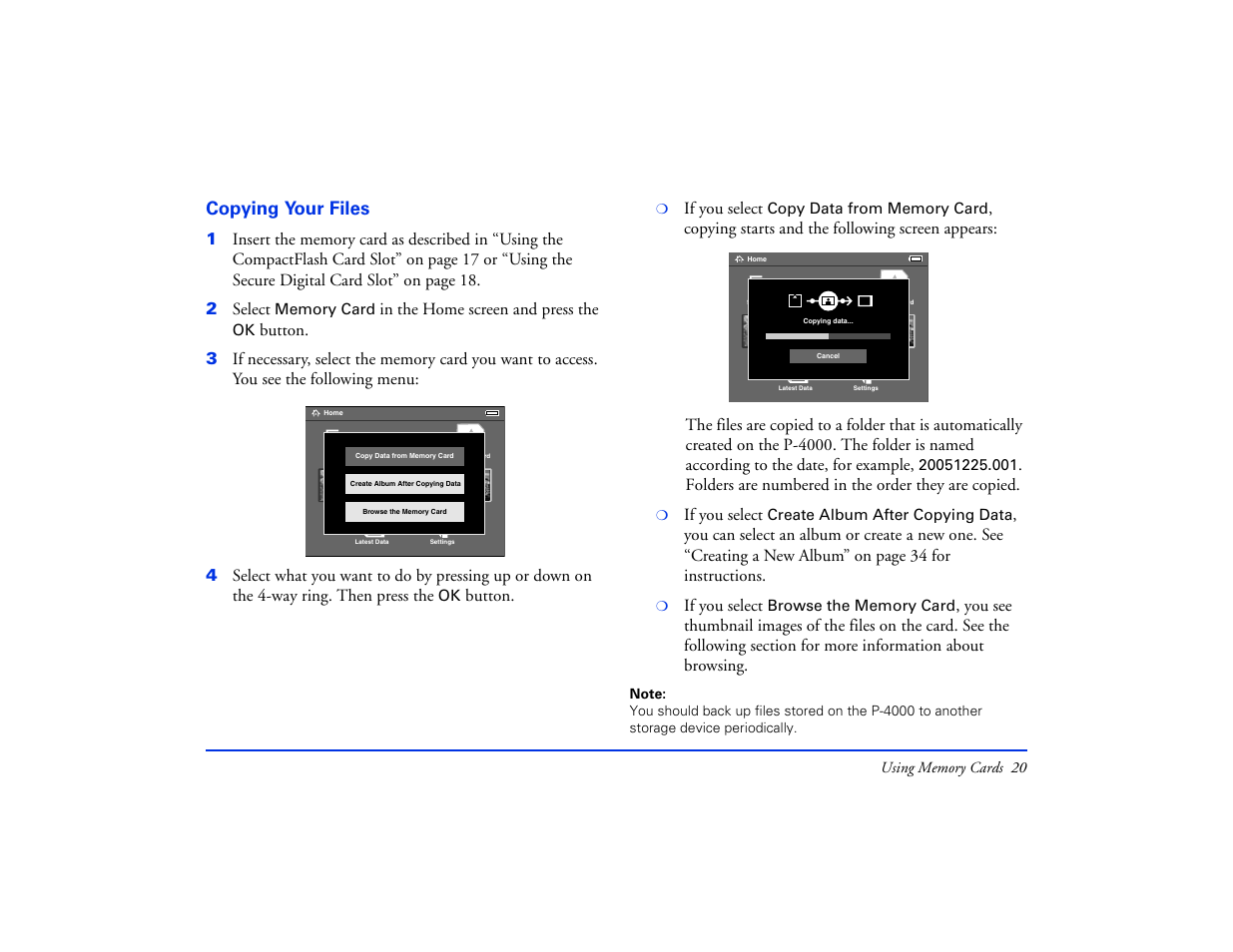 Copying your files | Epson Multimedia Storage Viewer P-4000 User Manual | Page 20 / 74