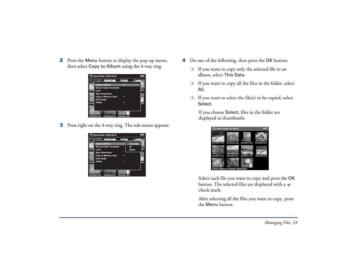 Epson Multimedia Storage Viewer P-4000 User Manual | Page 33 / 74