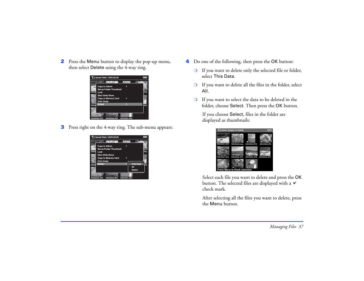 Epson Multimedia Storage Viewer P-4000 User Manual | Page 37 / 74