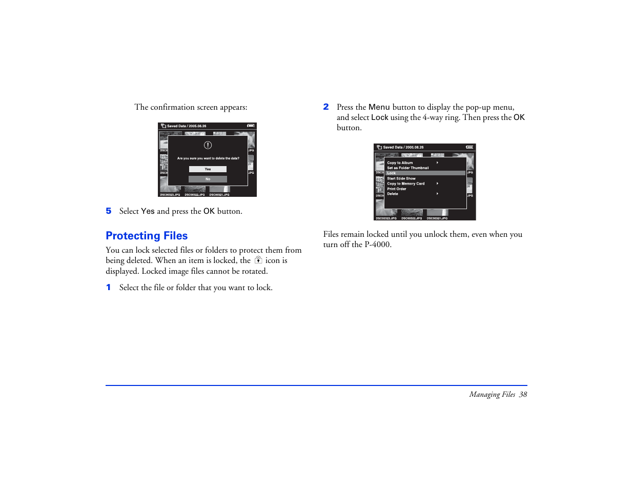 Protecting files | Epson Multimedia Storage Viewer P-4000 User Manual | Page 38 / 74