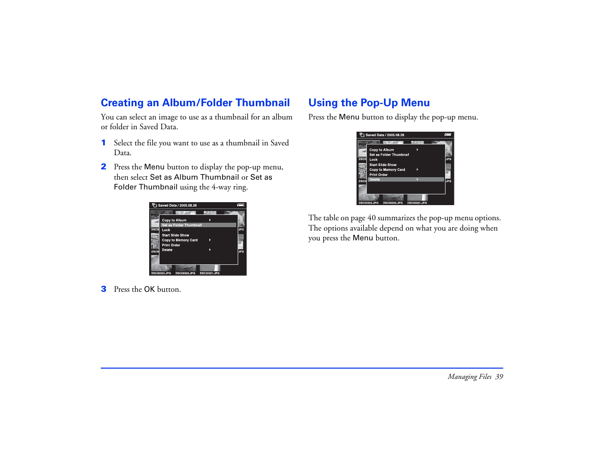 Creating an album/folder thumbnail, Using the pop-up menu | Epson Multimedia Storage Viewer P-4000 User Manual | Page 39 / 74