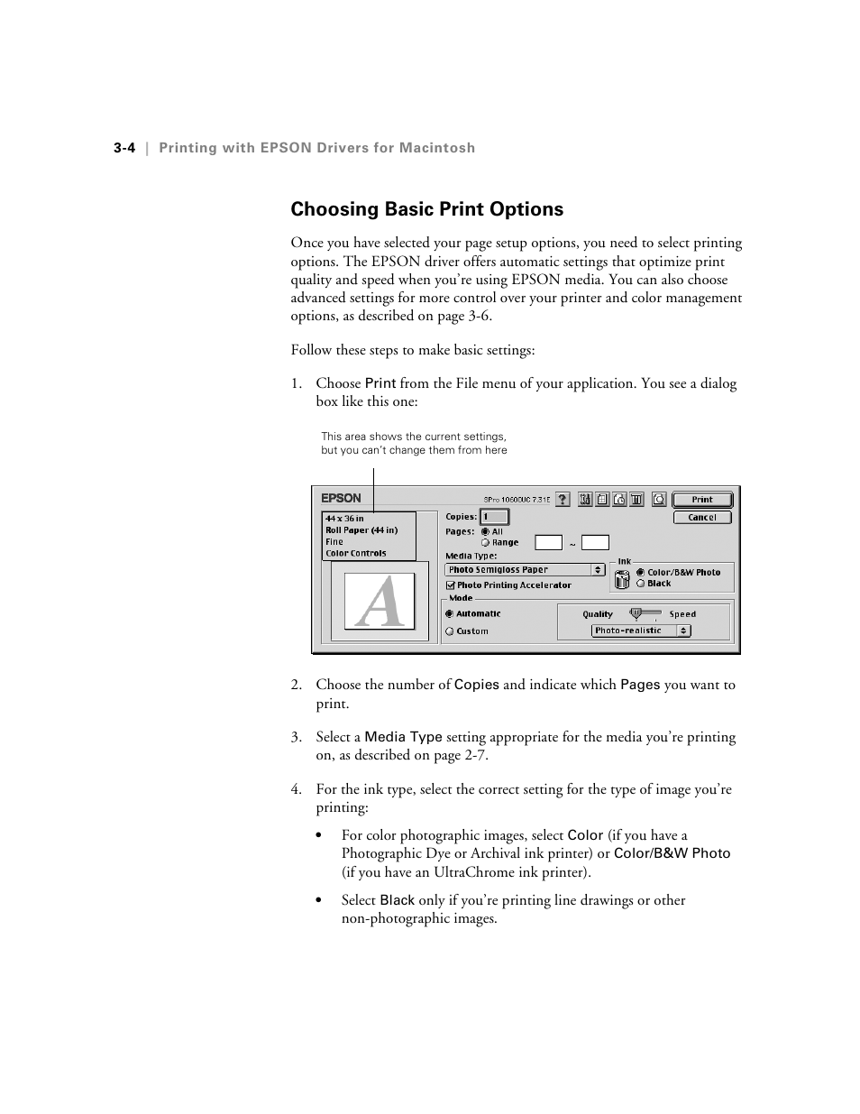 Choosing basic print options | Epson 10600 User Manual | Page 101 / 183