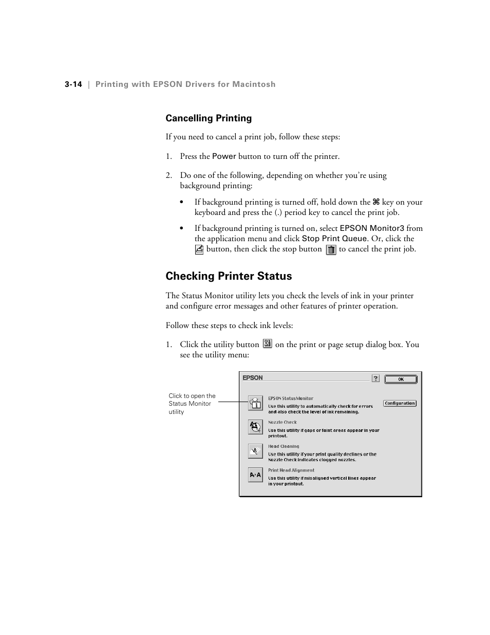 Cancelling printing, Checking printer status | Epson 10600 User Manual | Page 111 / 183