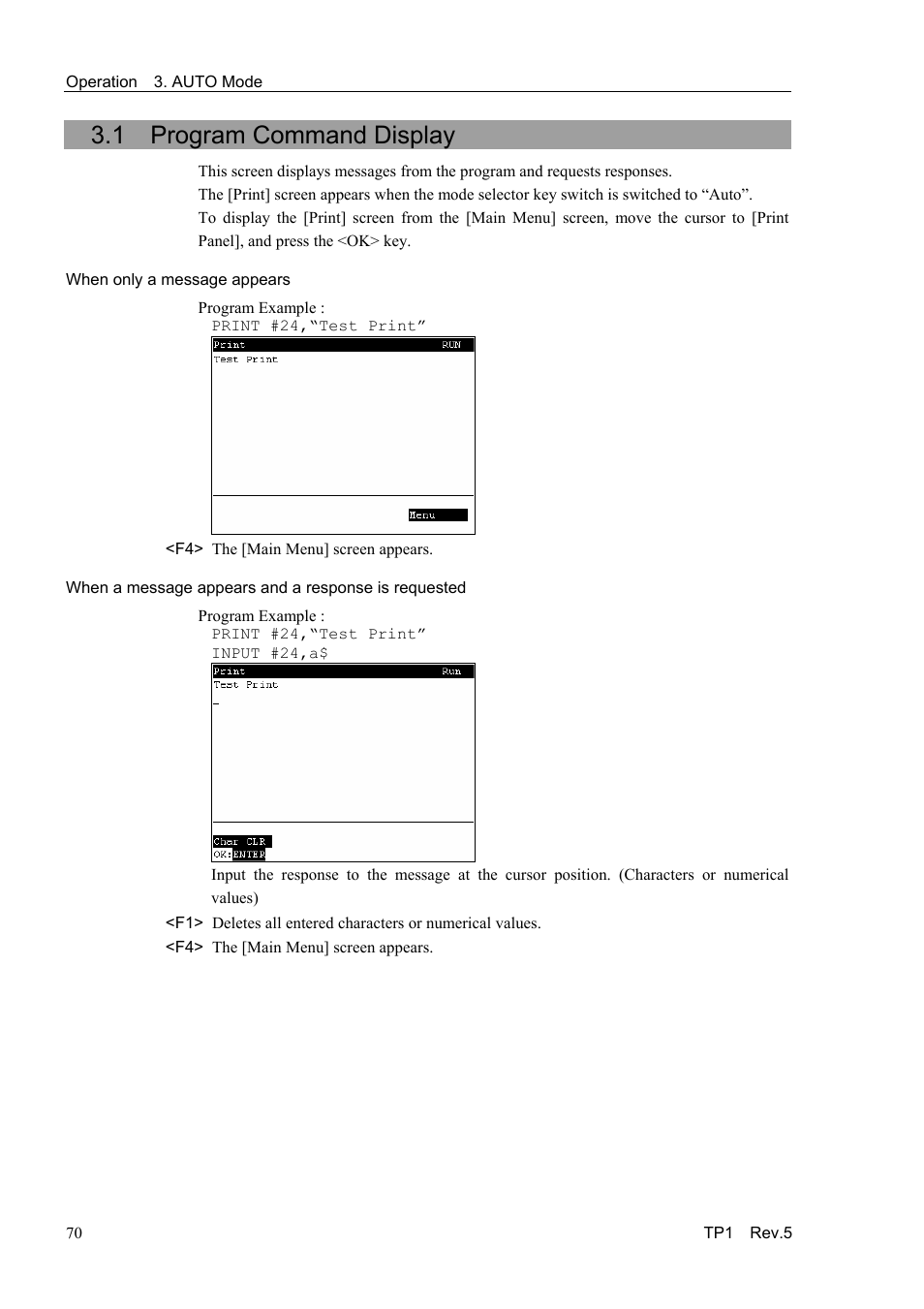 1 program command display | Epson TP1 User Manual | Page 80 / 112