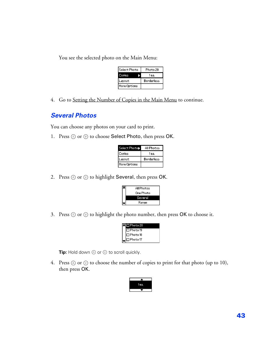 Several photos | Epson PictureMate User Manual | Page 44 / 126