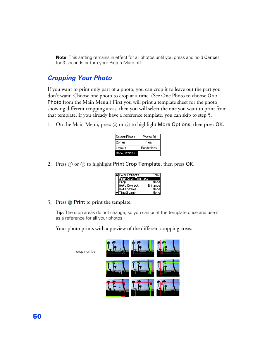 Cropping your photo | Epson PictureMate User Manual | Page 51 / 126