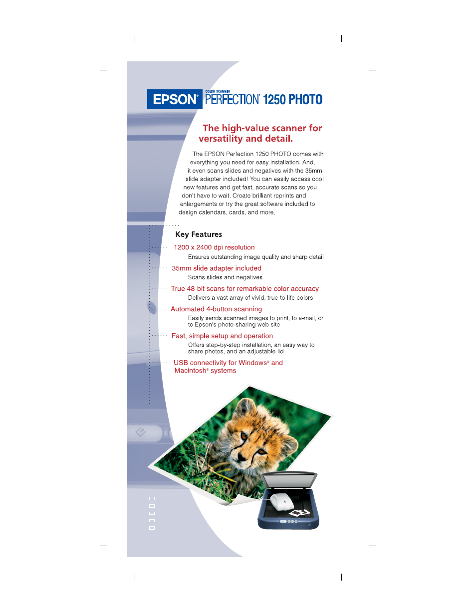 Epson Perfection 1250 Photo User Manual | 2 pages