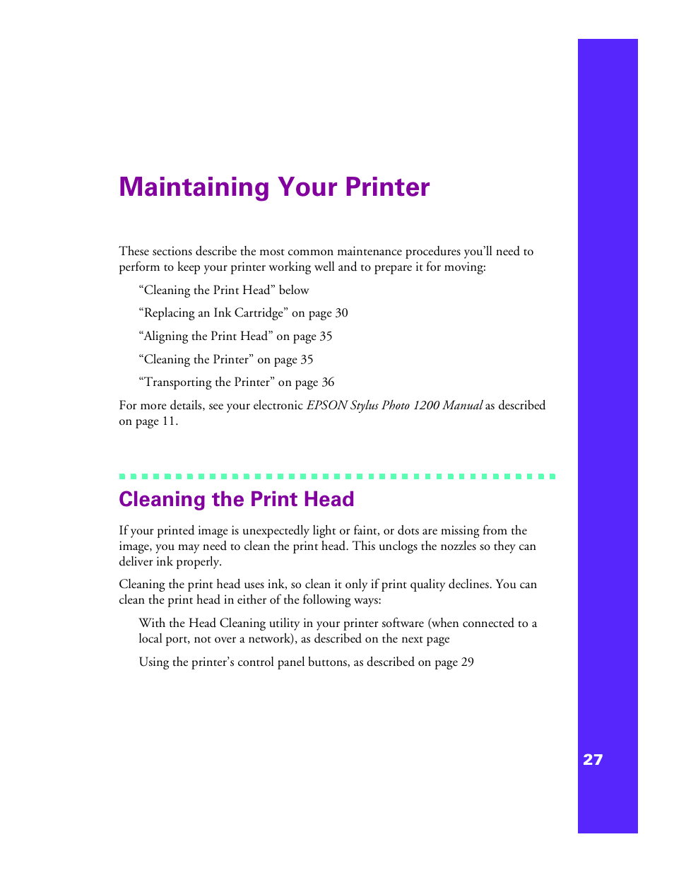 Maintaining your printer, Cleaning the print head | Epson 1200 User Manual | Page 33 / 67