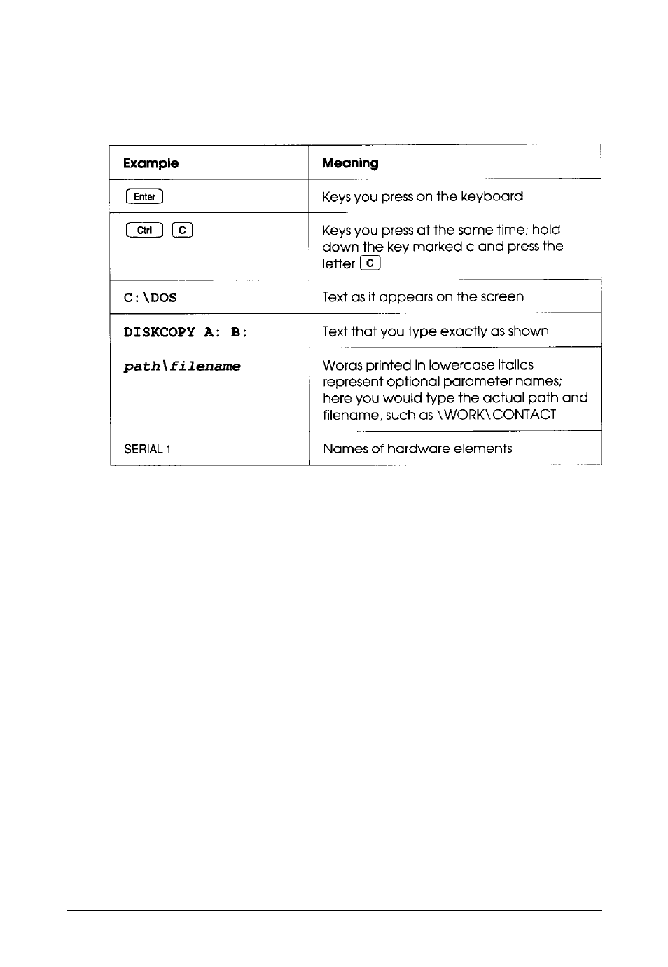 Conventions used in this manual | Epson Endeavor 468C User Manual | Page 18 / 187