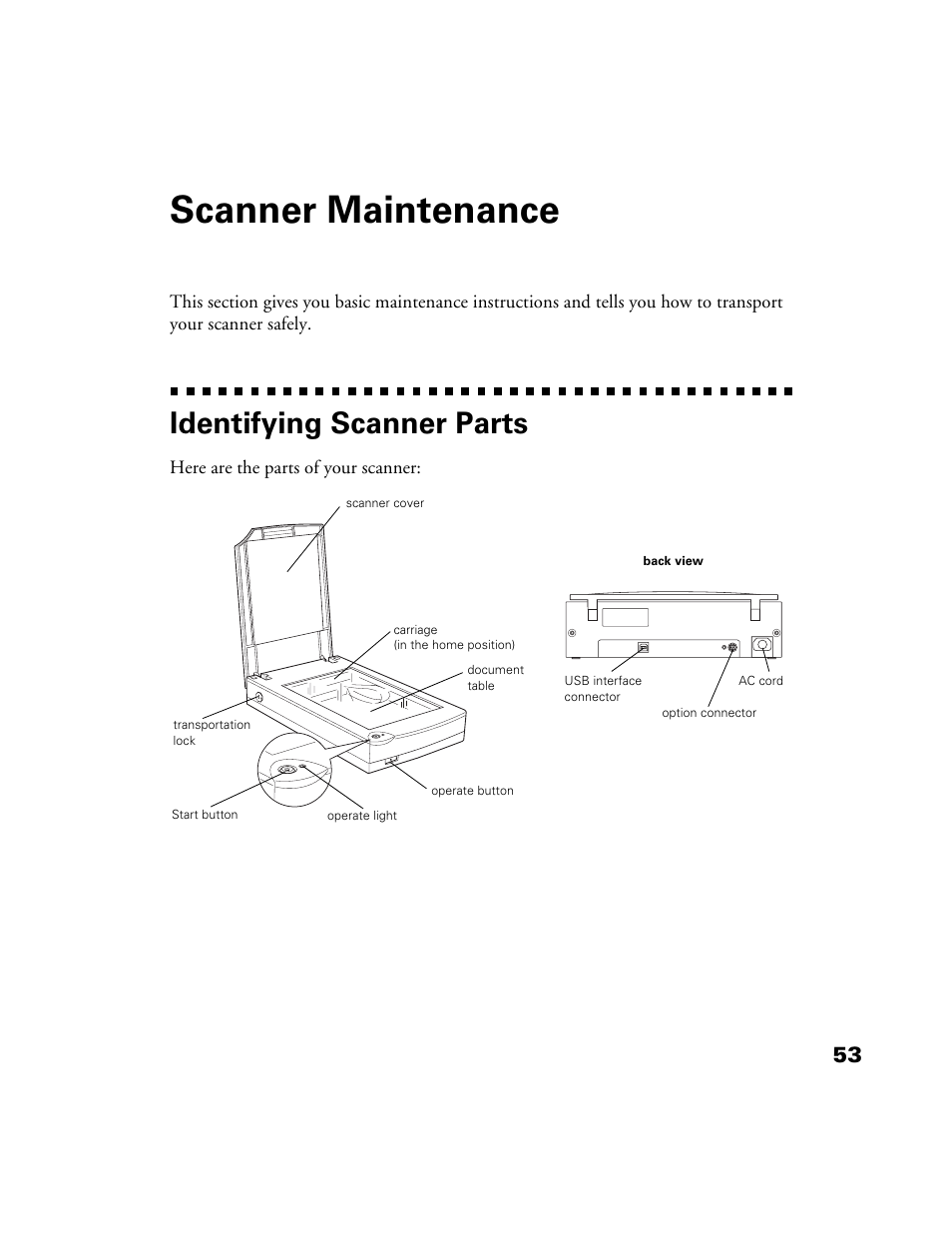 Scanner maintenance, Identifying scanner parts | Epson Perfection 1200U User Manual | Page 60 / 113