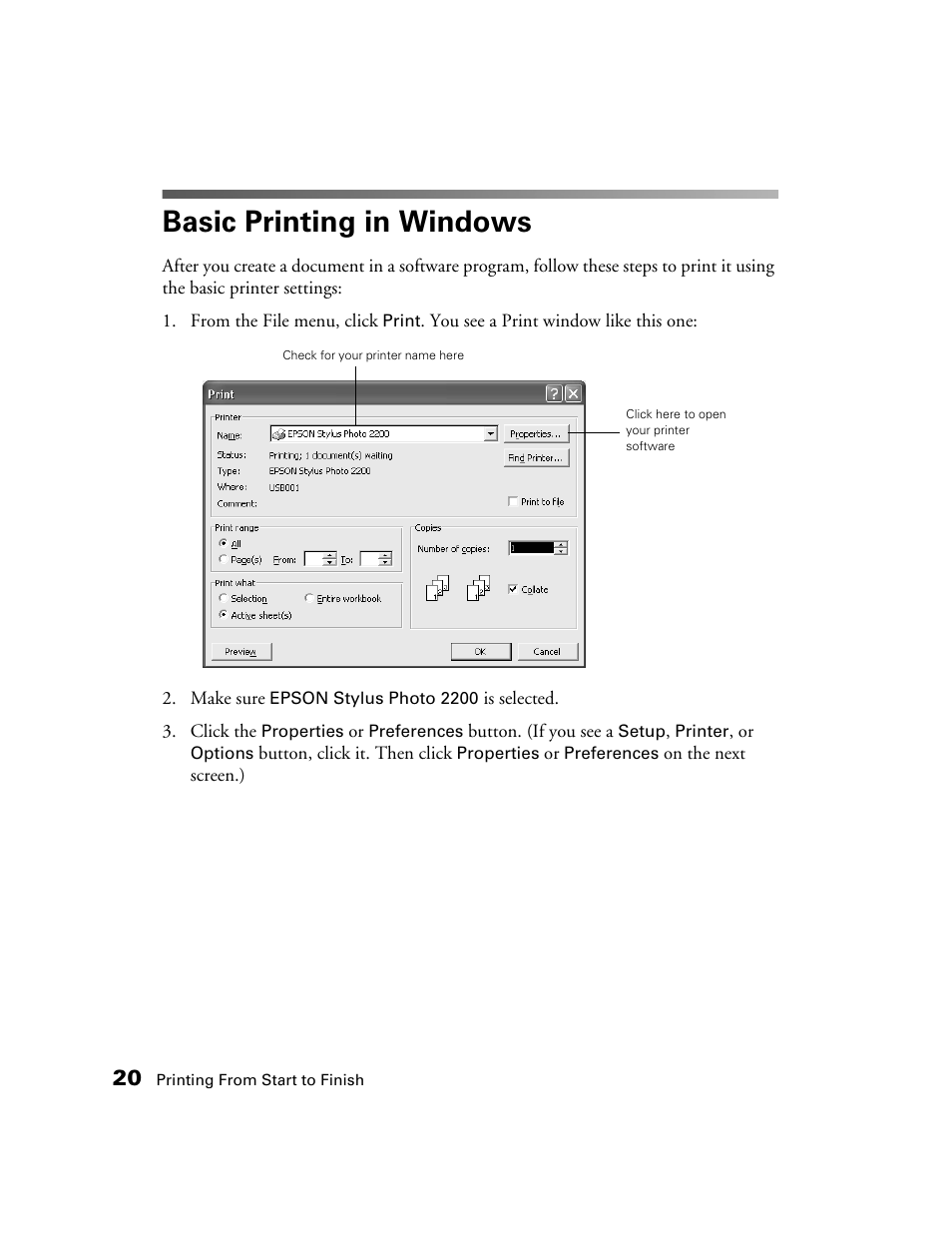 Basic printing in windows | Epson 2200 User Manual | Page 26 / 106