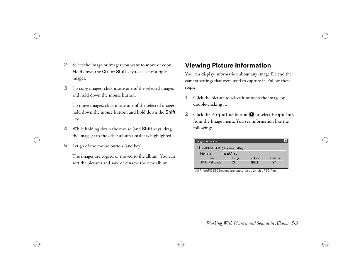 Viewing picture information | Epson PhotoPC 550 User Manual | Page 53 / 107
