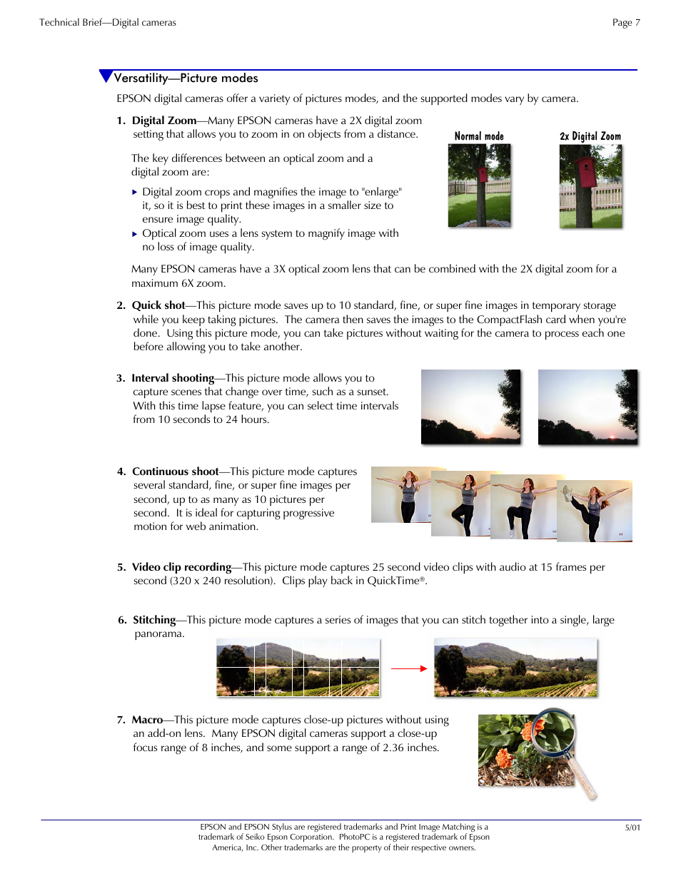 Picture modes | Epson Digital Camera 5/01EPSON User Manual | Page 7 / 8