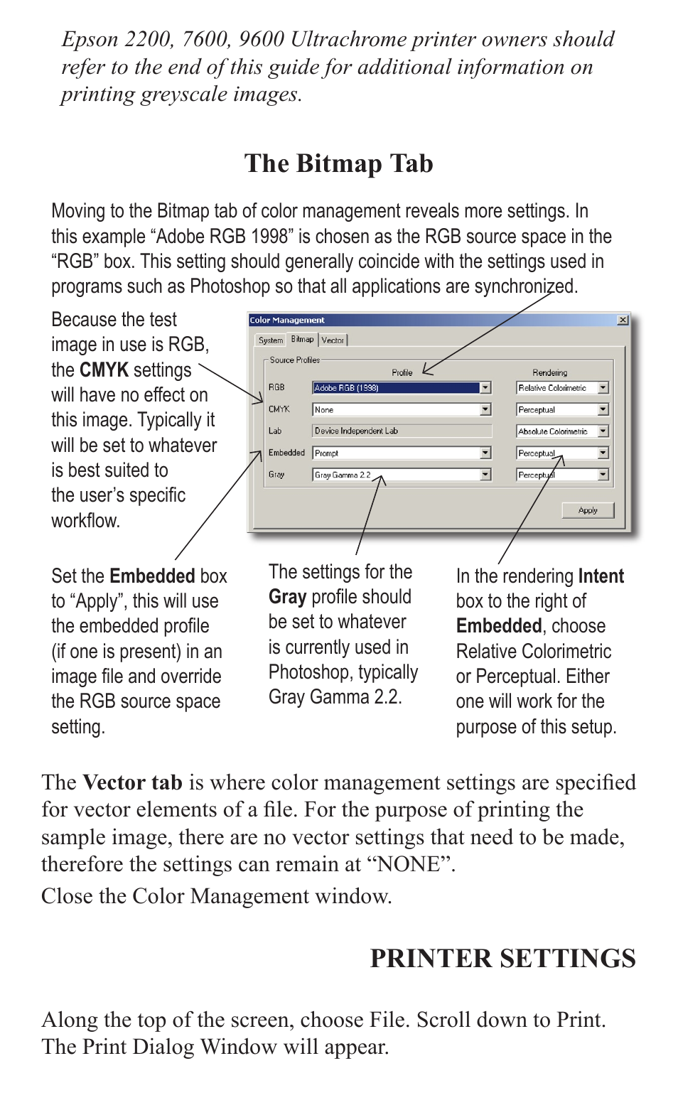 The bitmap tab, Printer settings | Epson 2000/XP User Manual | Page 8 / 11