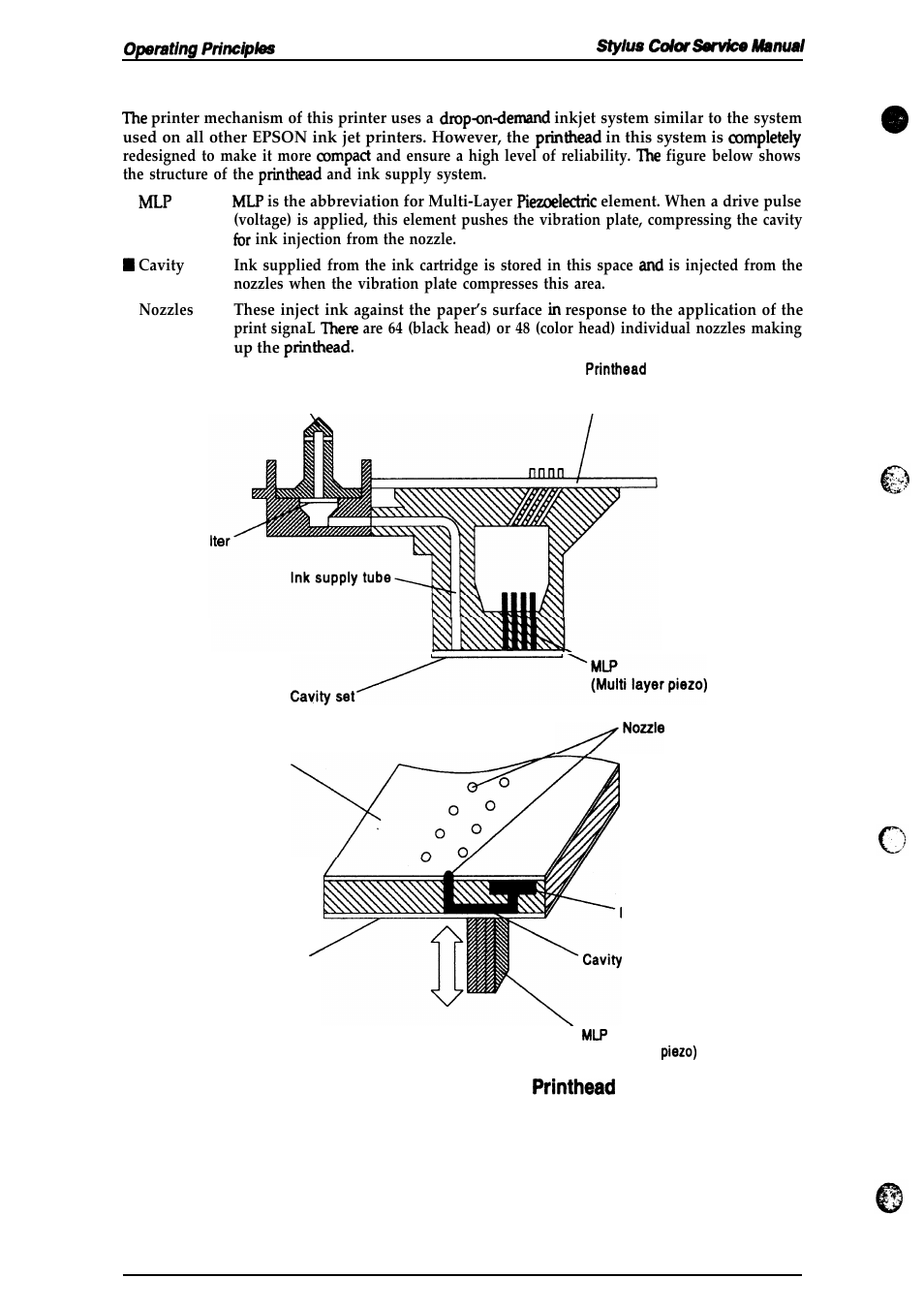 Epson 4003353 User Manual | Page 32 / 133