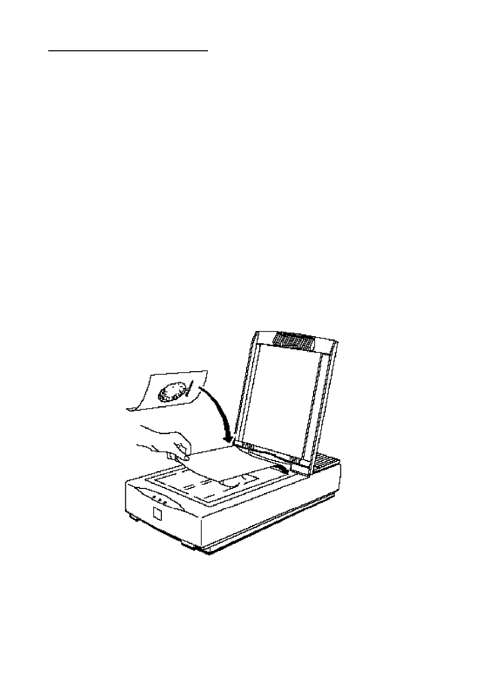 Scanning images | Epson ES-1000C User Manual | Page 18 / 28