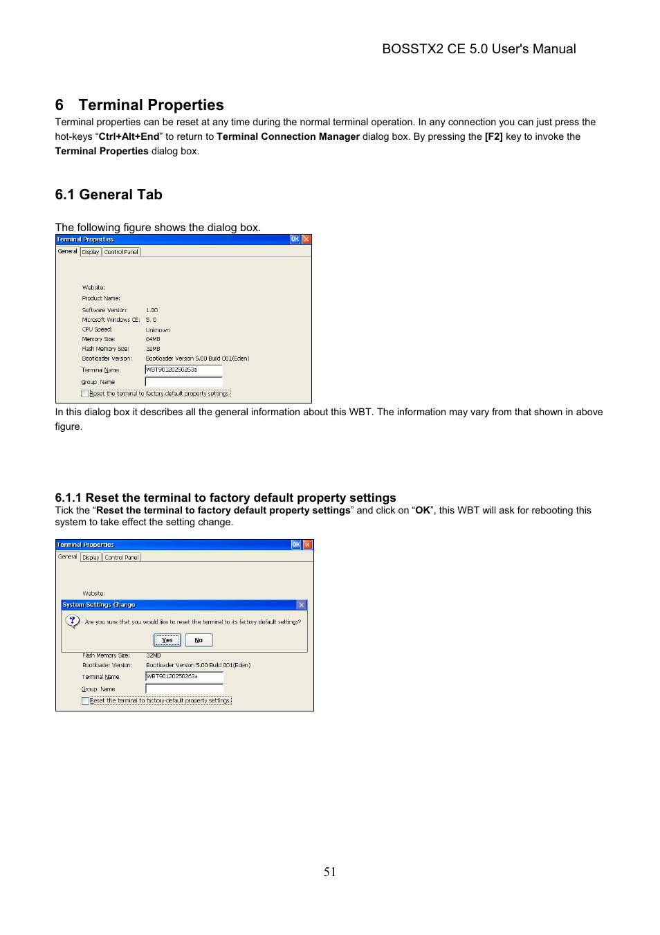6 terminal properties | Epson Windows-Based Terminal BOSSTX2 CE 5.0 User Manual | Page 56 / 88