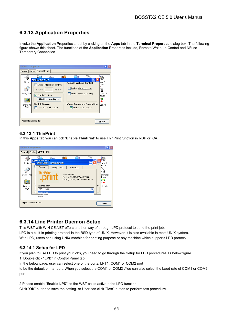 13 application properties, 14 line printer daemon setup | Epson Windows-Based Terminal BOSSTX2 CE 5.0 User Manual | Page 70 / 88