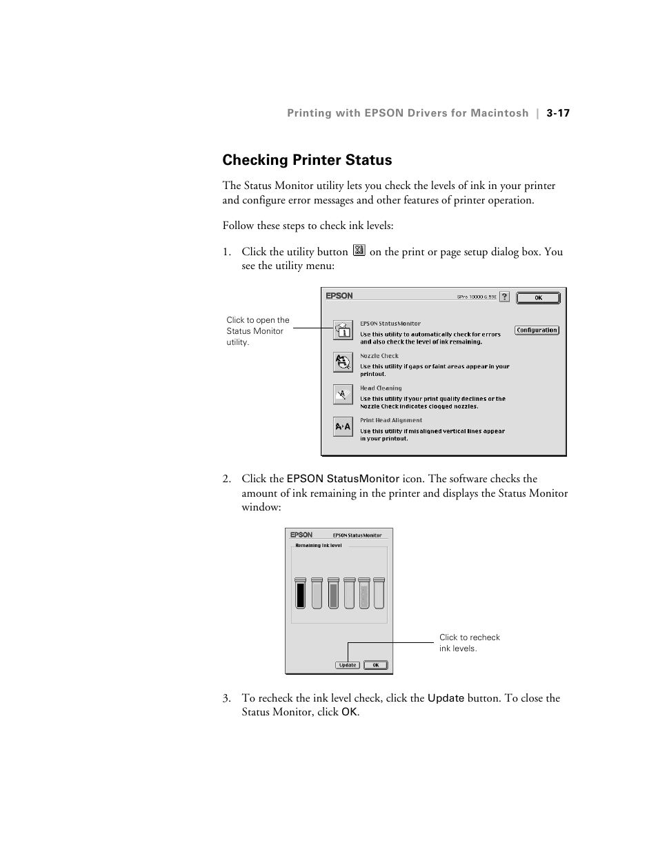 Checking printer status, Checking printer status -17 | Epson StylusPro10000 User Manual | Page 83 / 168