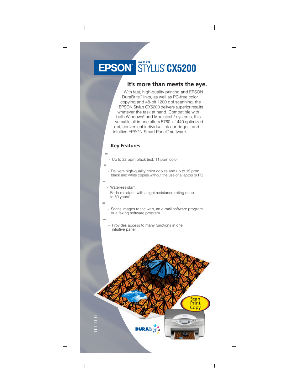 Epson Stylus CX5200 User Manual | 2 pages