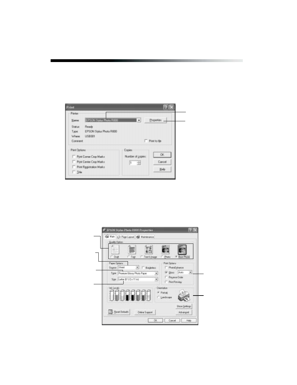 Basic printing in windows | Epson R800 User Manual | Page 20 / 116