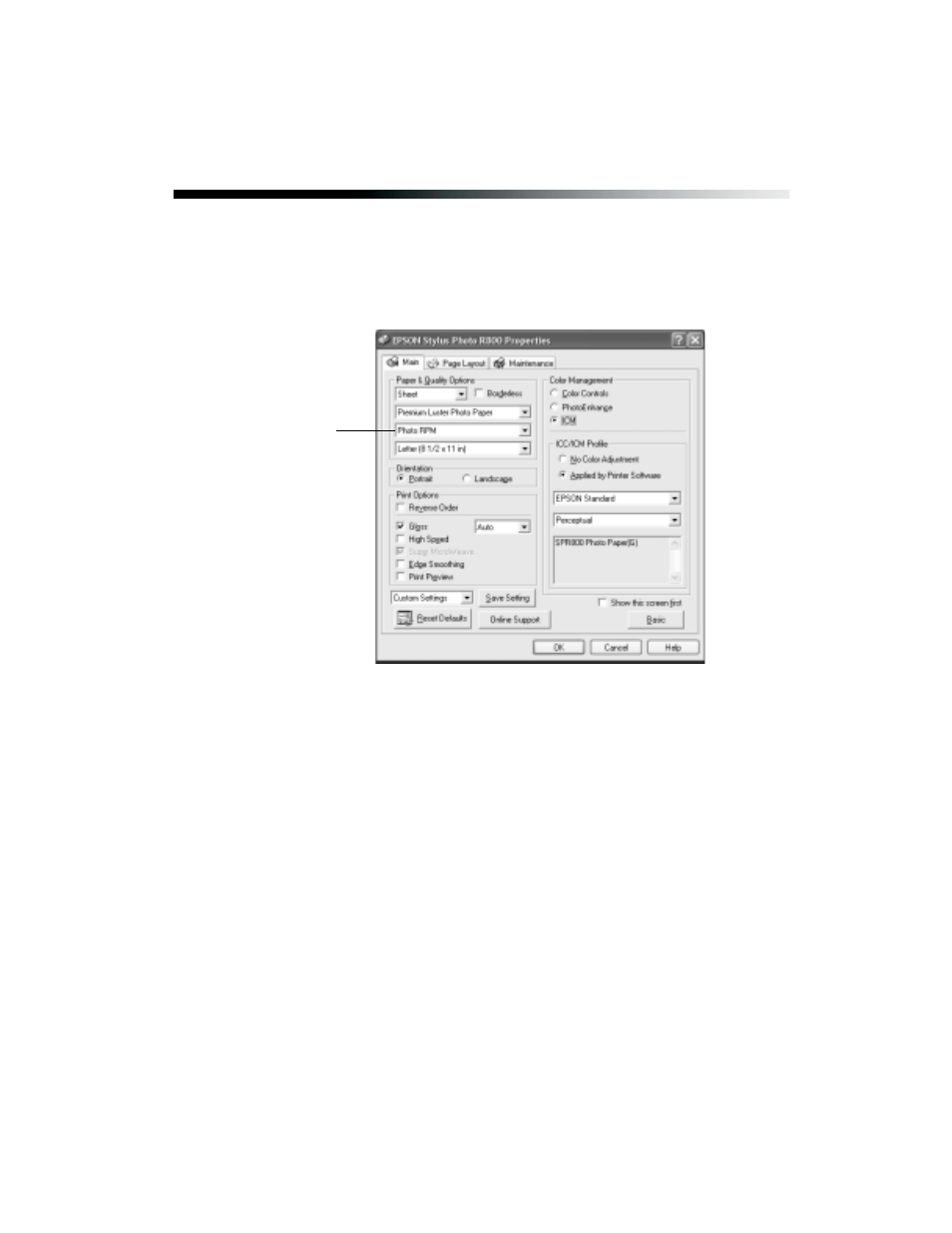 Customizing your windows print settings | Epson R800 User Manual | Page 23 / 116