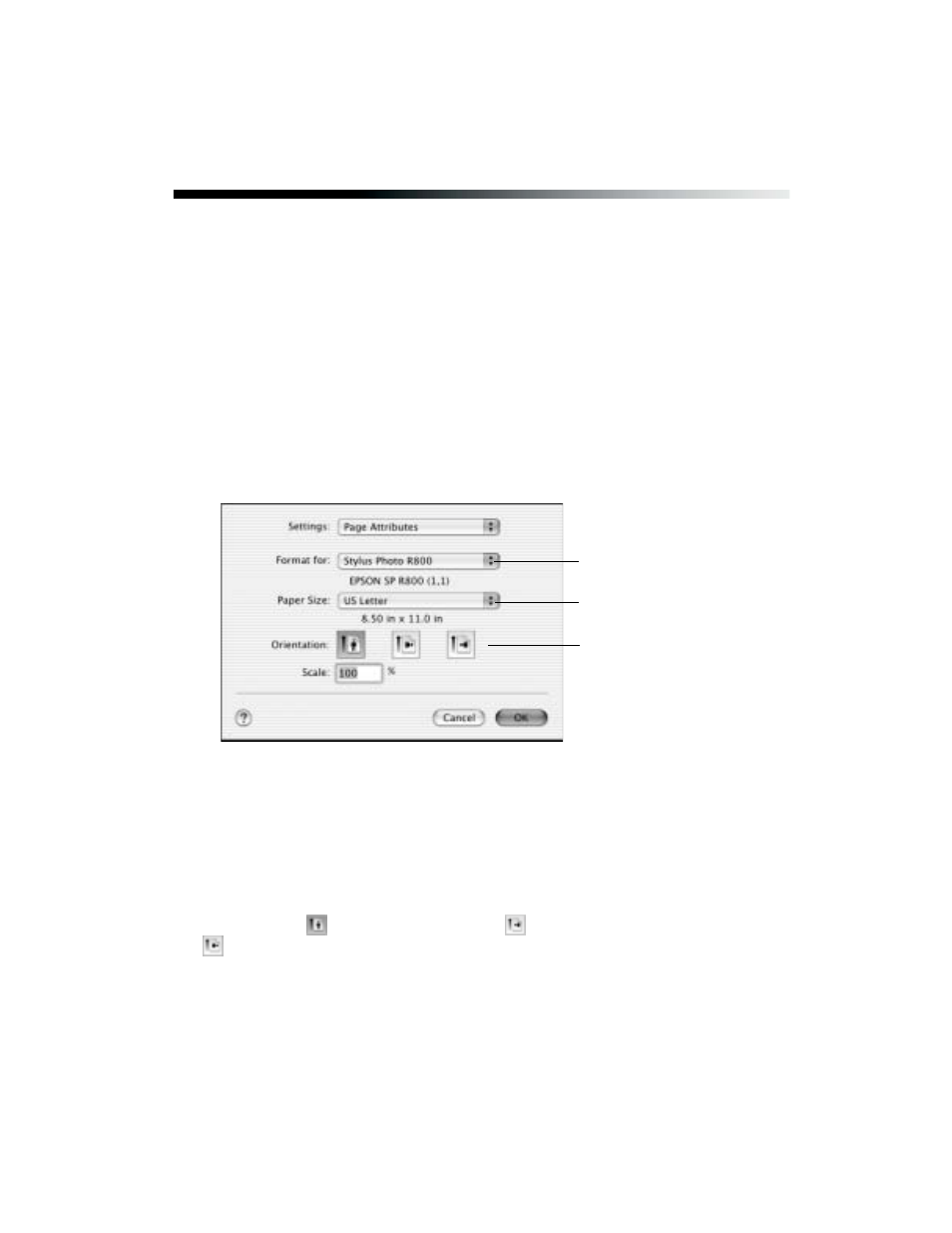 Basic printing with macintosh os x | Epson R800 User Manual | Page 25 / 116