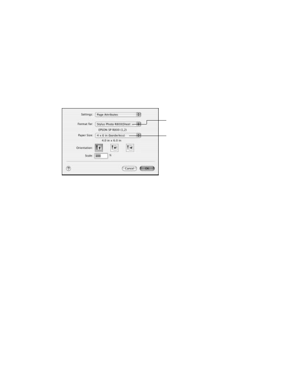 Macintosh osx, Macintosh os x | Epson R800 User Manual | Page 45 / 116