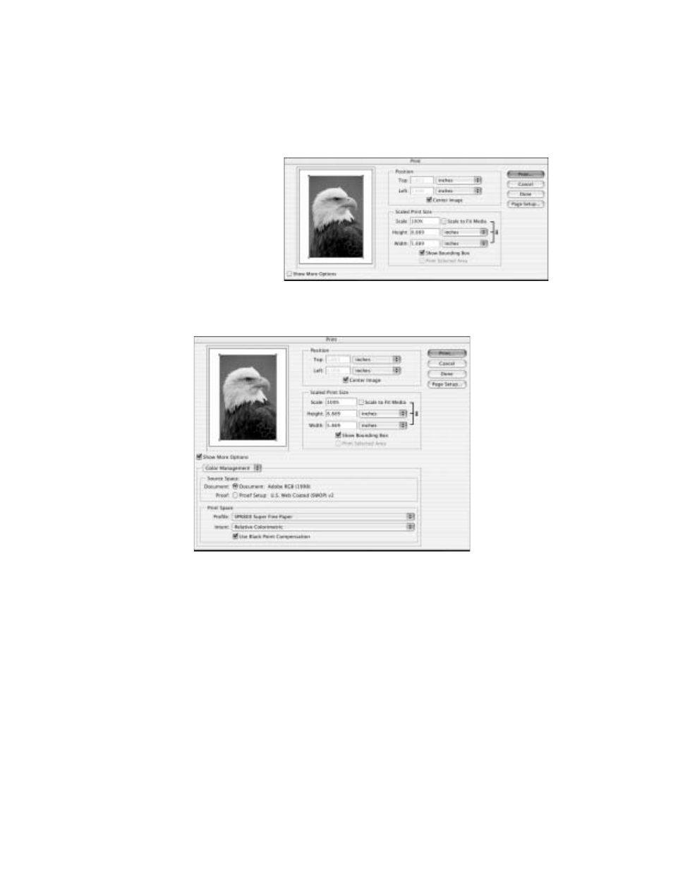 Epson R800 User Manual | Page 50 / 116