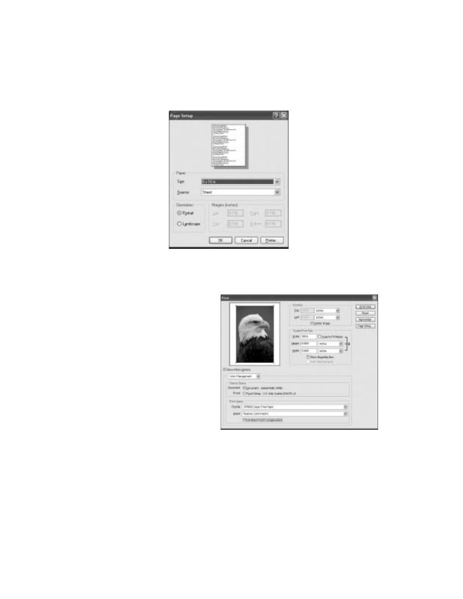 Epson R800 User Manual | Page 54 / 116