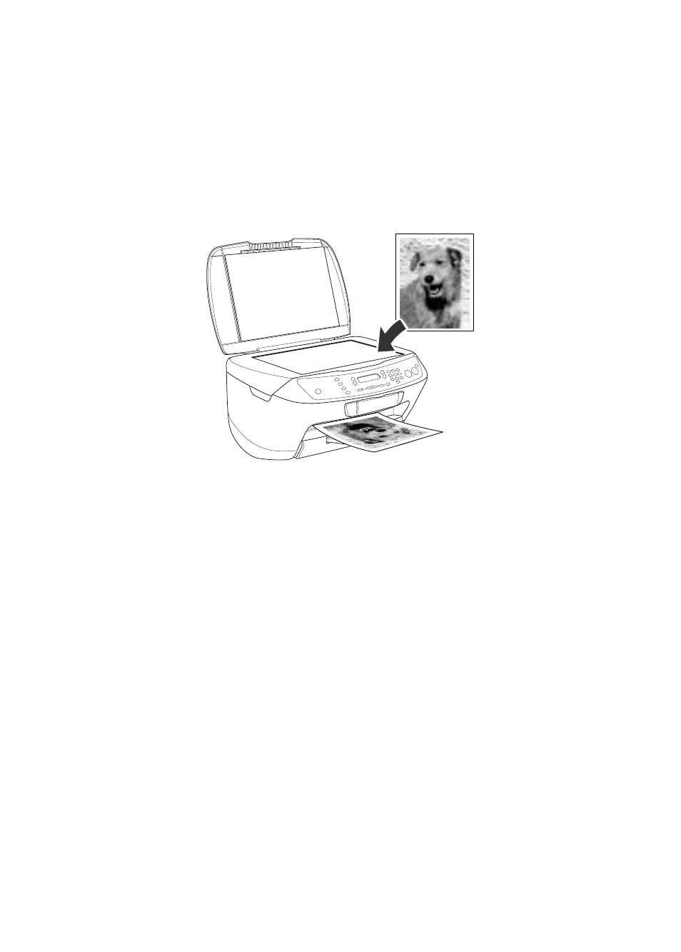 Using your stylus cx6400 | Epson CX6400 User Manual | Page 5 / 52