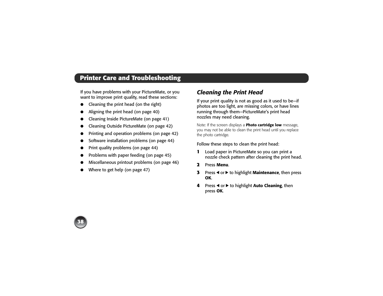 Printer care and troubleshooting, Cleaning the print head | Epson PICTUREMATE PM 225 User Manual | Page 40 / 67
