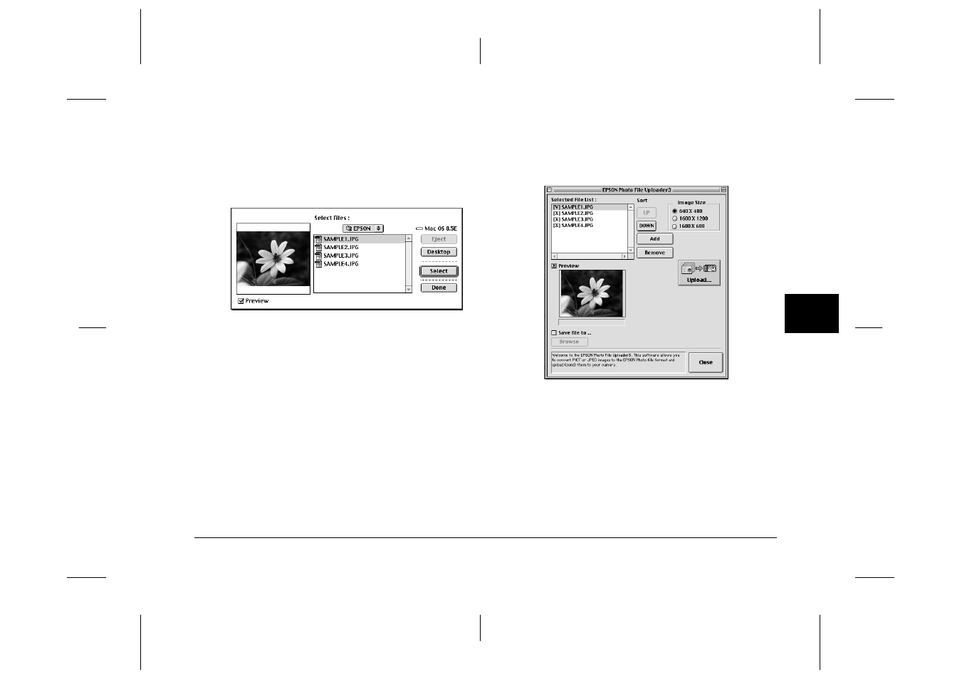 Epson S01-00 User Manual | Page 44 / 61