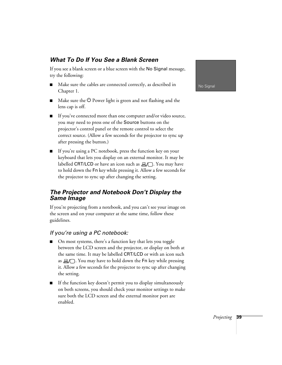 What to do if you see a blank screen, Don’t display the same image | Epson 7900p User Manual | Page 39 / 146