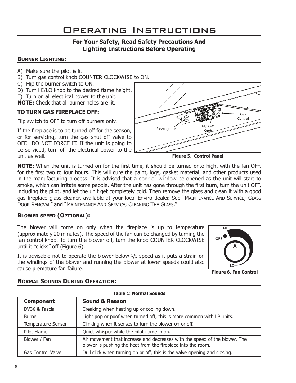 Remote controls, Burner lighting, Blower speed (optional) | Ation, Operating instructions | Enviro C-11275 User Manual | Page 8 / 42