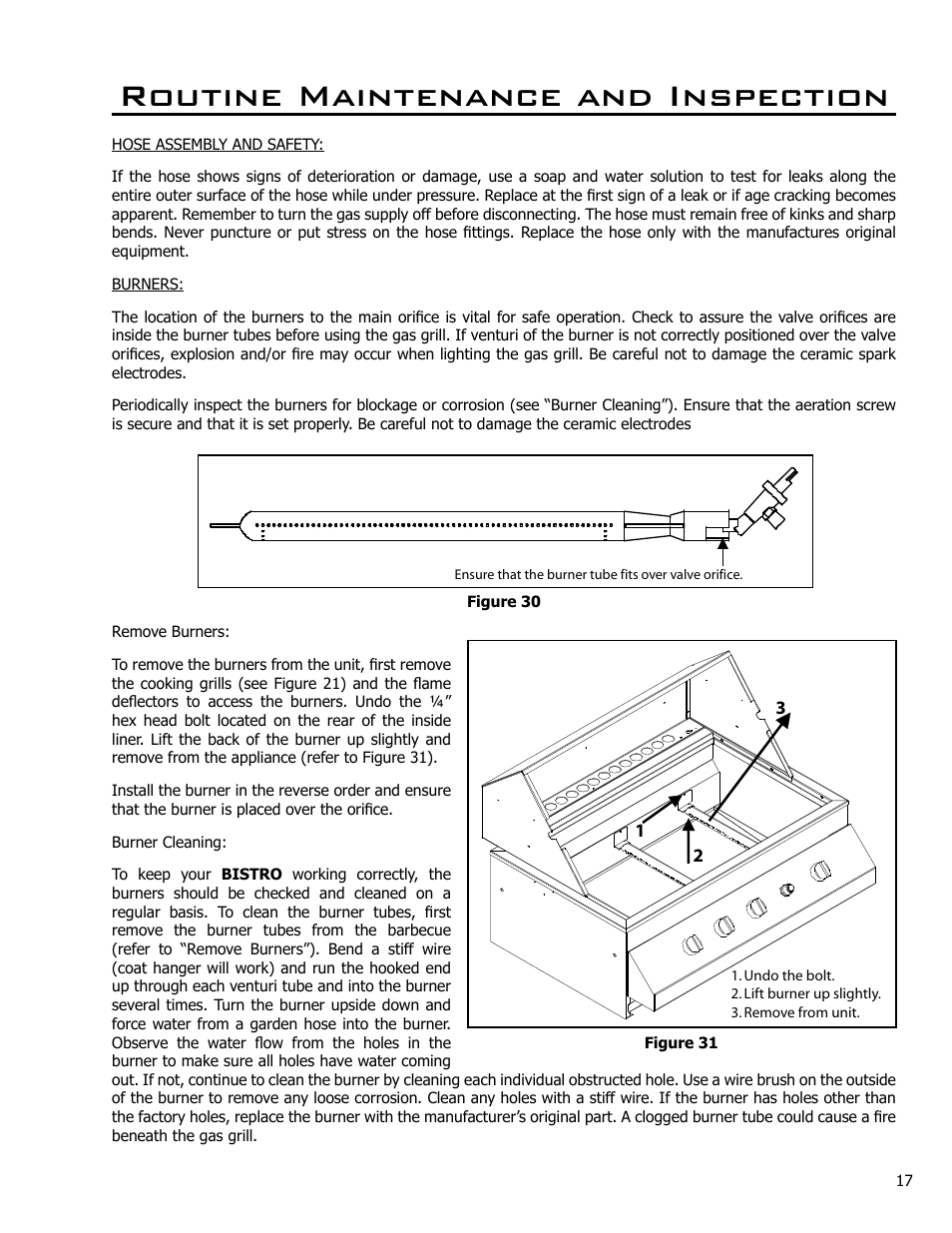 Routine maintenance and inspection | Enviro Bistro 4500 C-10124 User Manual | Page 17 / 30