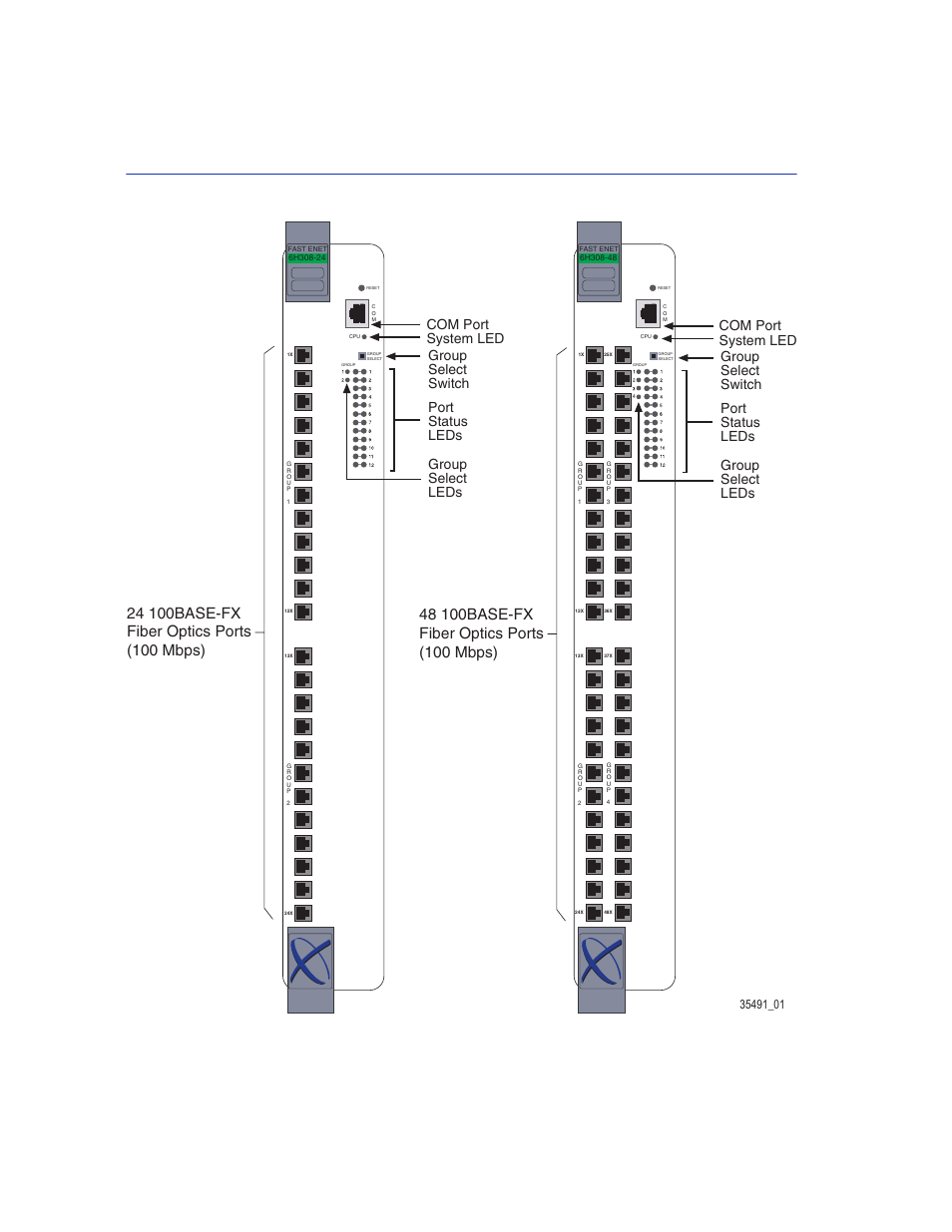 Figure, The 6h308-24 and 6h308-48 modules -2, Figure 1-1 | Enterasys Networks 6H308-24 User Manual | Page 18 / 56