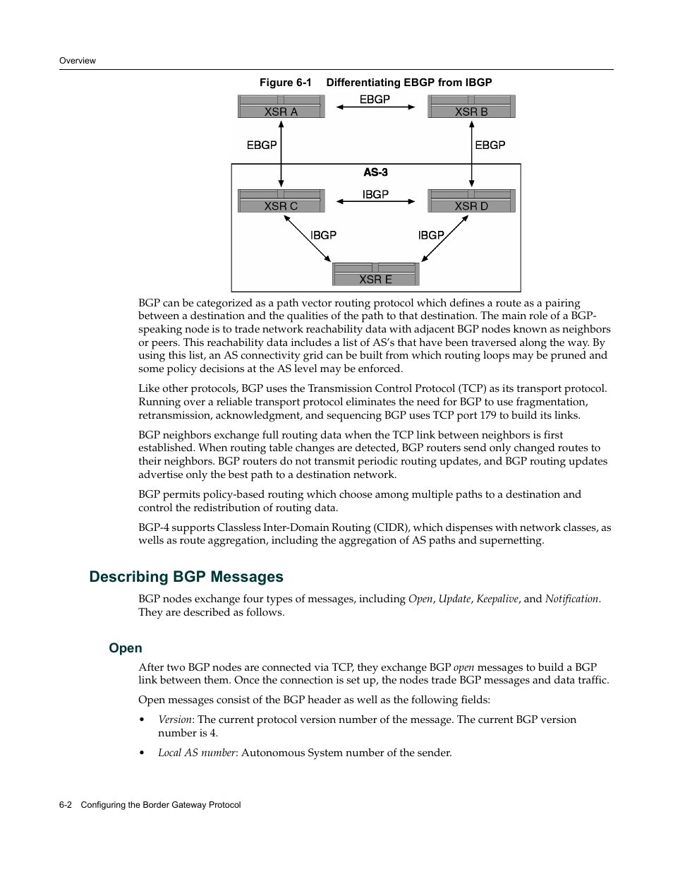 Describing bgp messages, Open, Describing bgp messages -2 | Open -2 | Enterasys Networks Security Router X-PeditionTM User Manual | Page 150 / 466