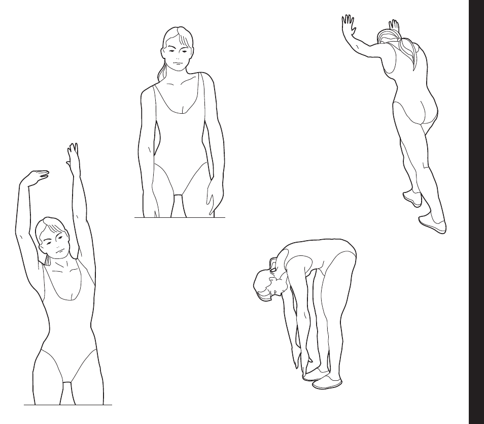 Stretching routine | Evo Fitness EVO 1CD User Manual | Page 37 / 44