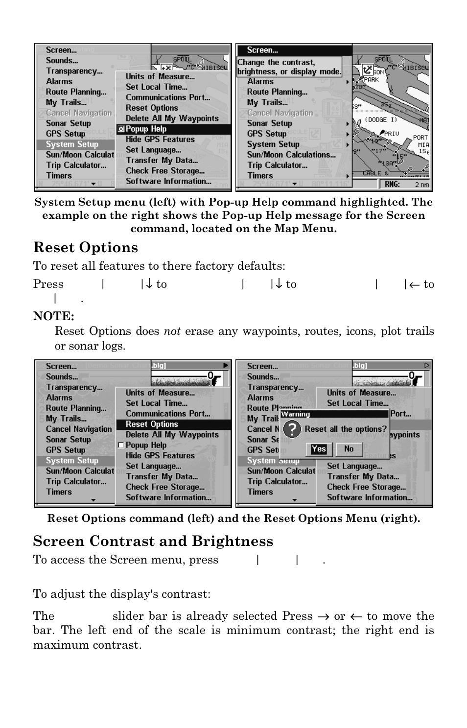 Reset options, Screen contrast and brightness | Eagle Electronics FISHSTRIKE 1000C User Manual | Page 169 / 204