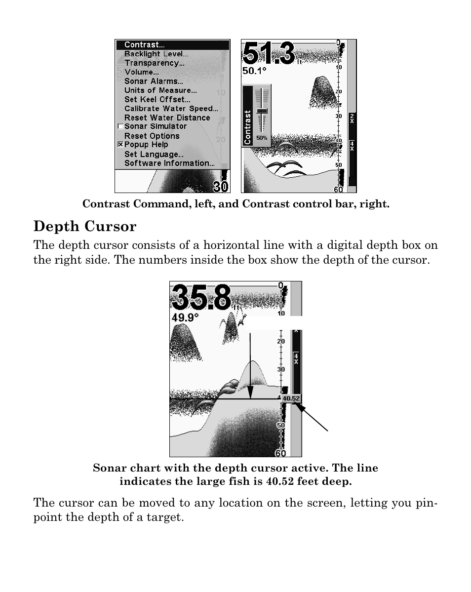 Depth cursor | Eagle Electronics FISHEASY 320C User Manual | Page 68 / 104