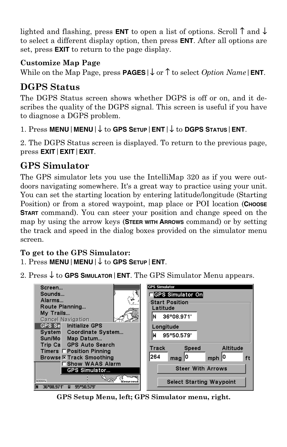 Dgps status, Gps simulator | Eagle Electronics IntelliMap 320 User Manual | Page 79 / 128